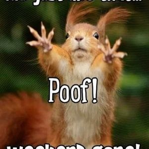 Meet your Posher, Jack